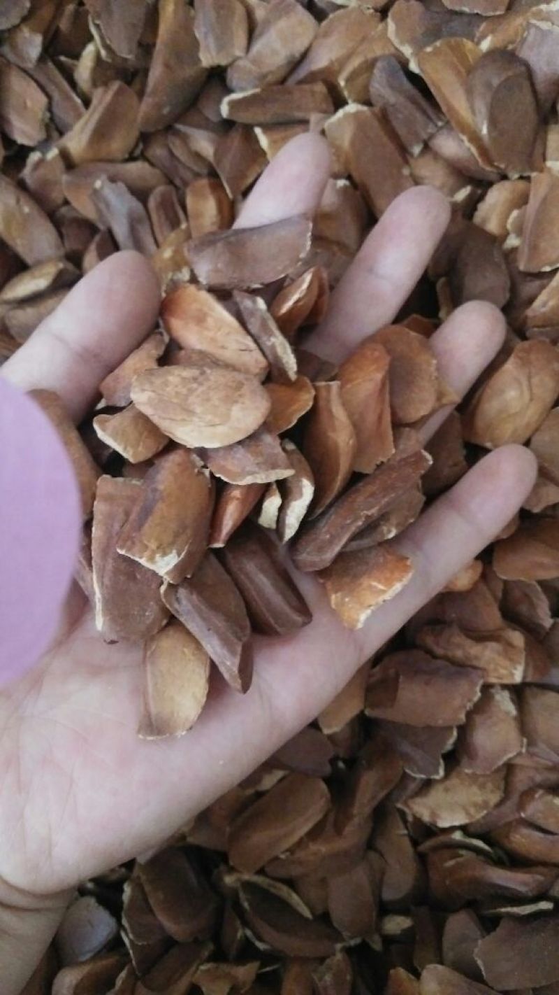 向天果颗粒饱满批发各种中药材质量保证批发零售各种规格中药