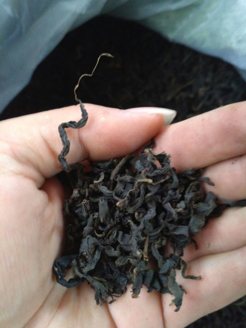 青钱柳茶一级