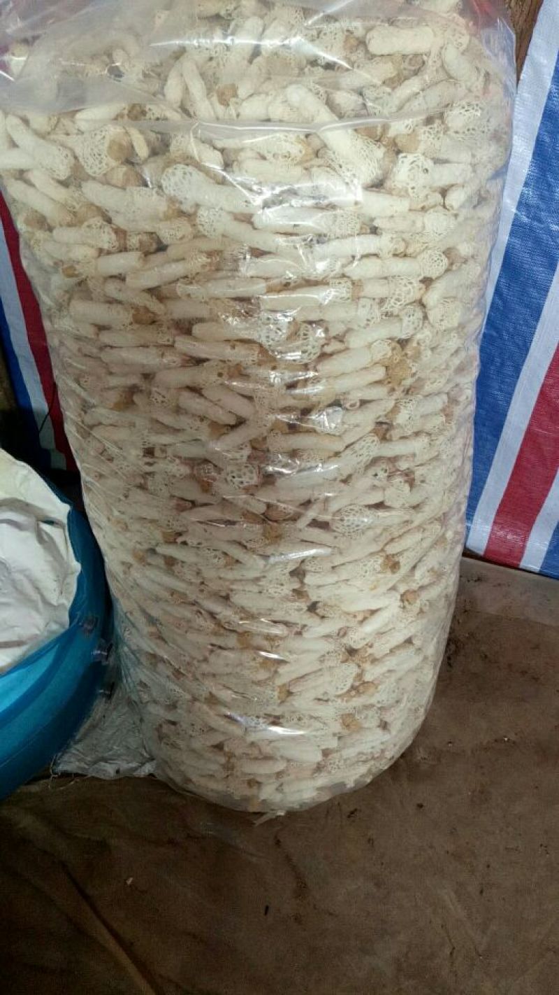 干竹荪一级