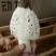 干竹荪一级