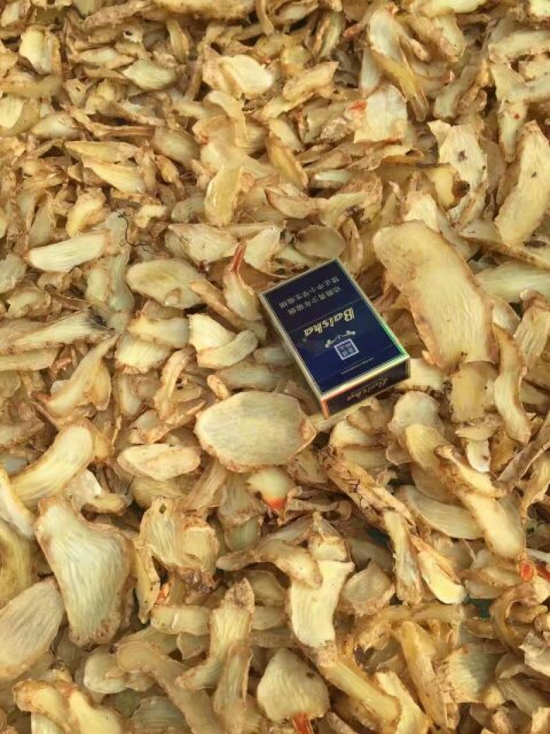 防野生天麻片