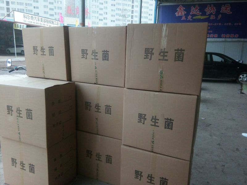 干平菇平菇干食用菌干蘑菇凤尾菇鲍鱼菇