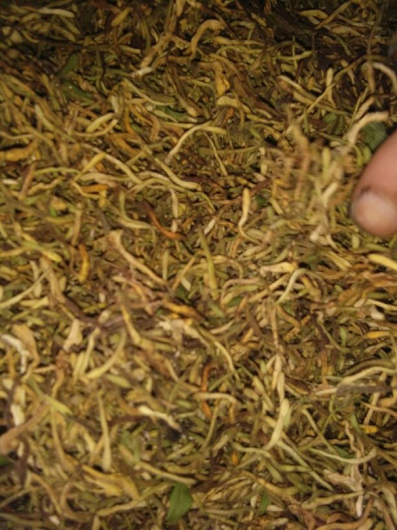中药金银花茶特级去火茶散装花草茶