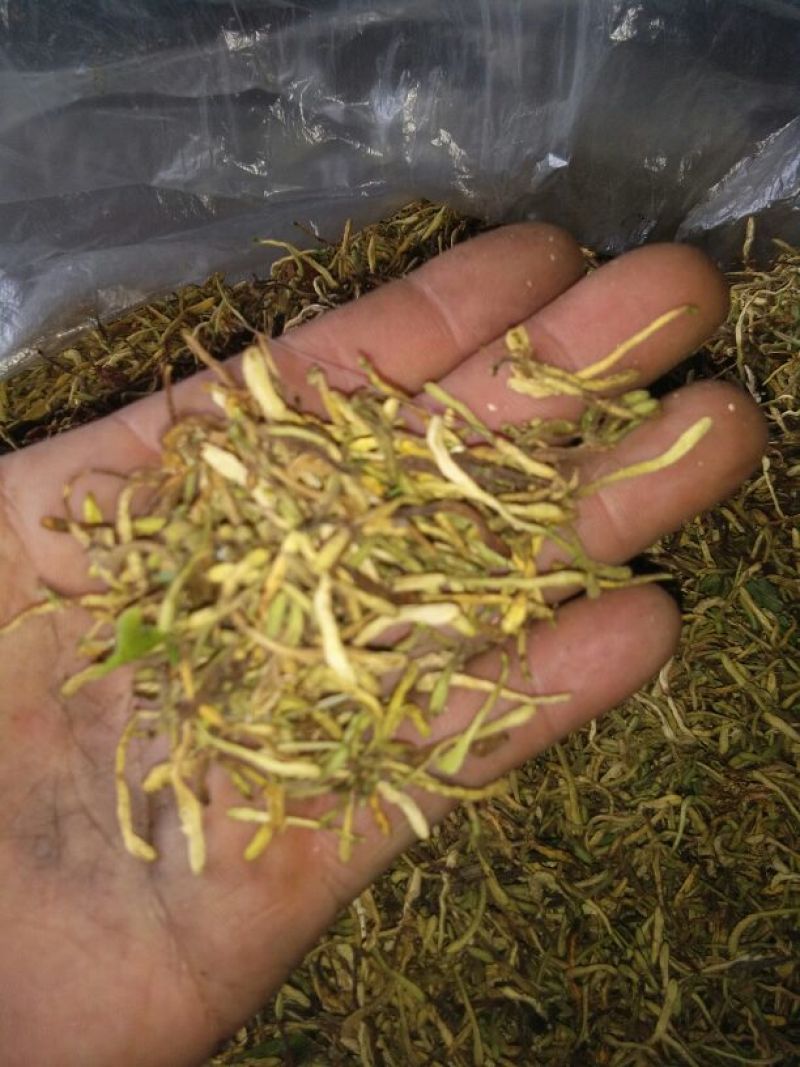 中药金银花茶特级去火茶散装花草茶