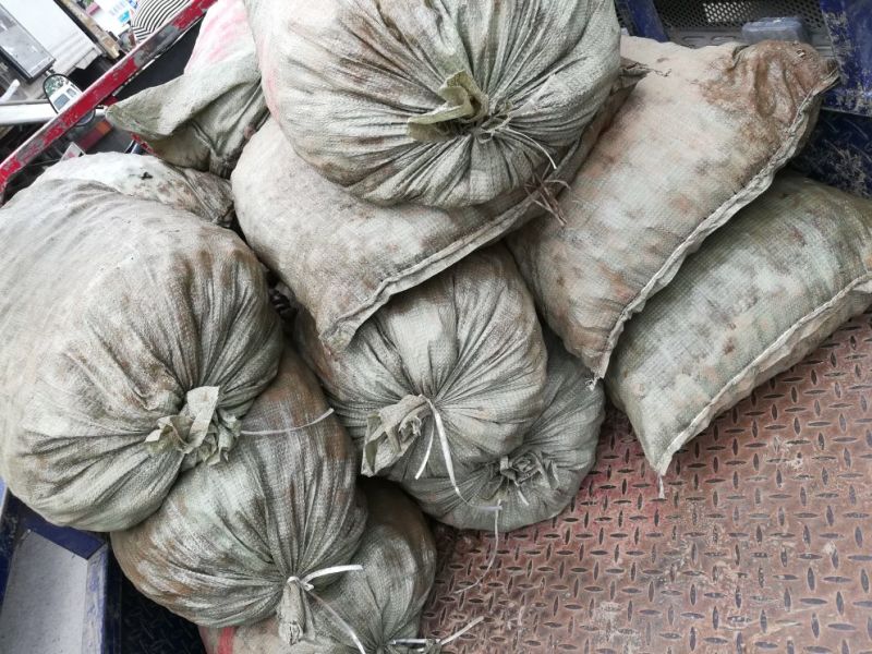中华圆田螺食用鲜活