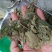 桑叶干货人工种植农家自然晾晒量大从优