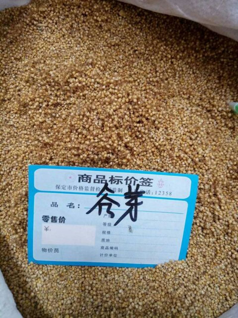 谷芽江西干货量大从优欢迎选购