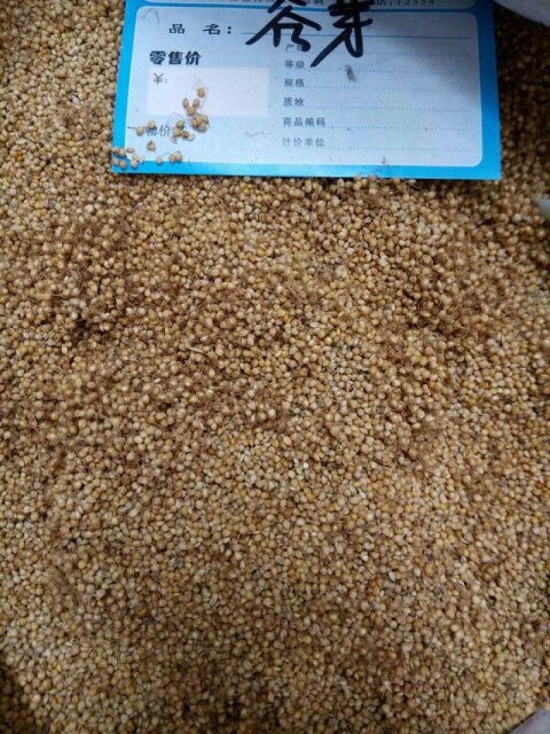 谷芽江西干货量大从优欢迎选购