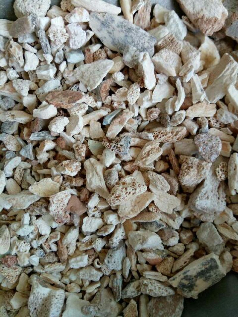 龙骨甘肃干货天然品质好2斤起包邮