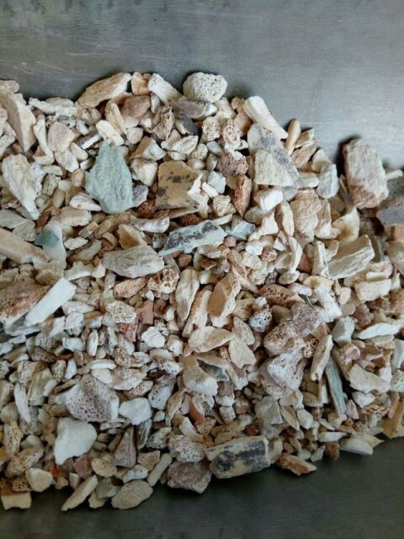 龙骨甘肃干货天然品质好2斤起包邮
