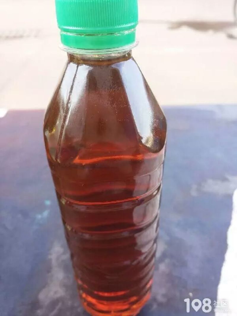 油菜籽5