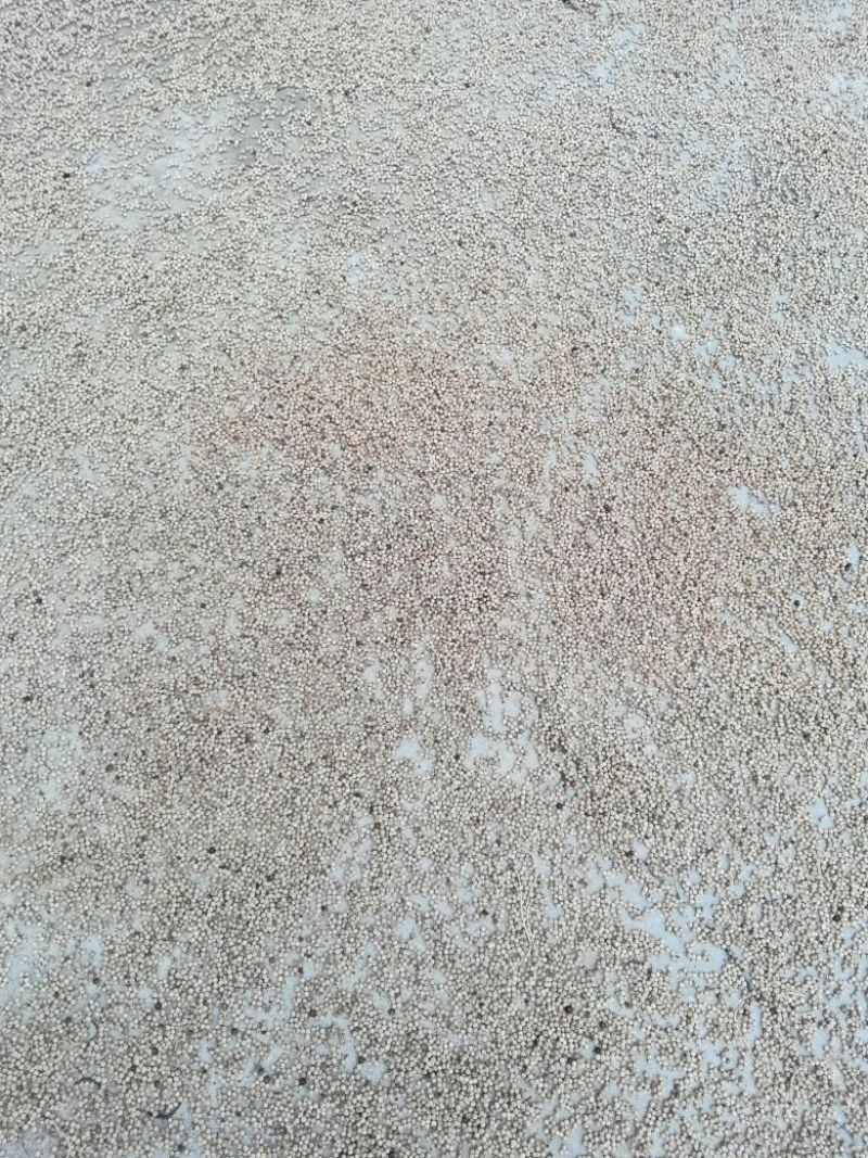 海南精选白胡椒产地直销支持先发样品验货