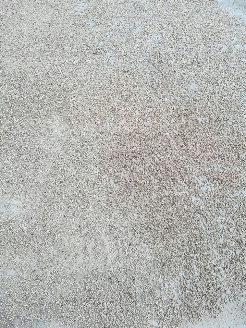 海南精选白胡椒产地直销支持先发样品验货