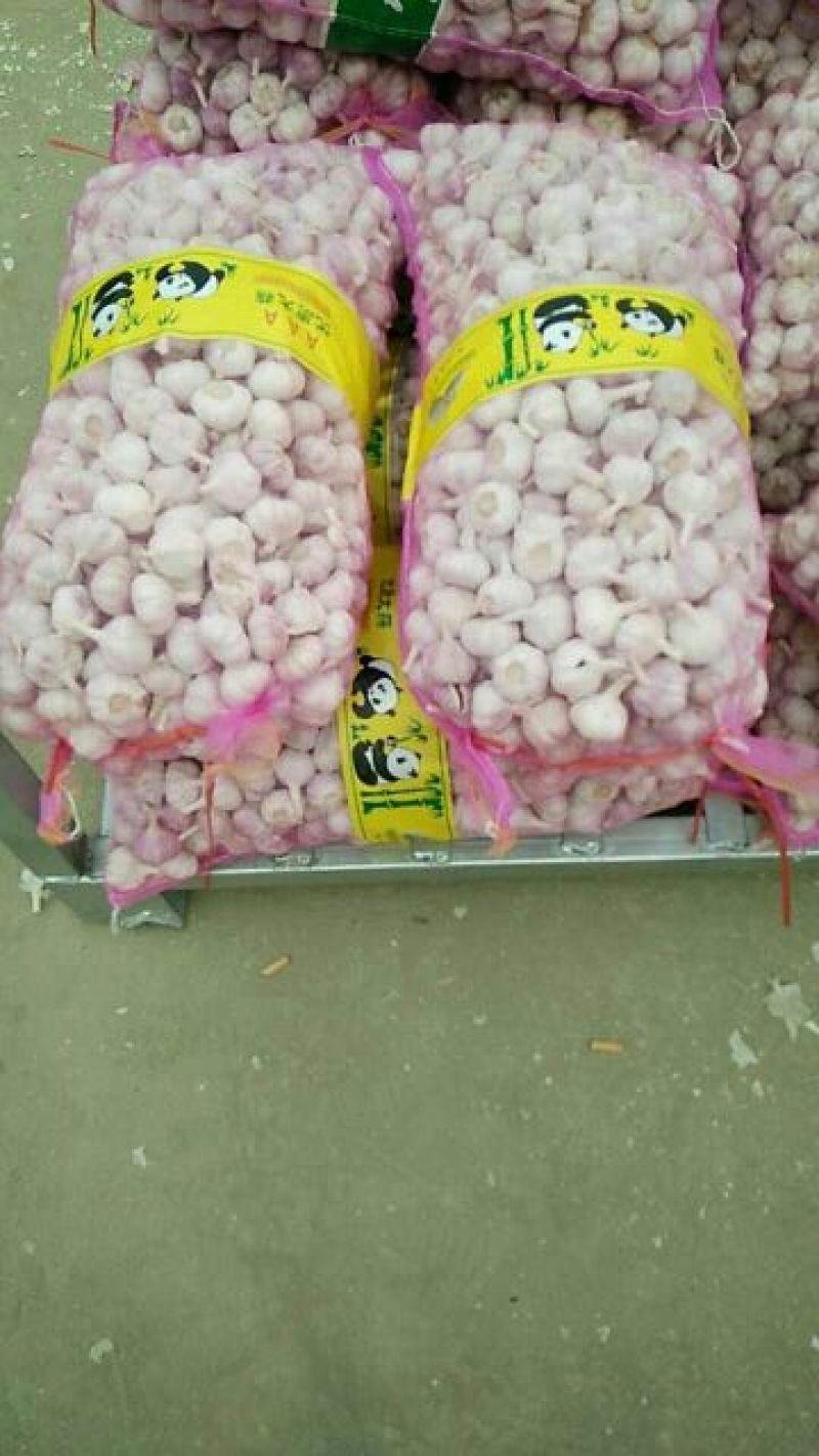 邳州大蒜6cm半干蒜