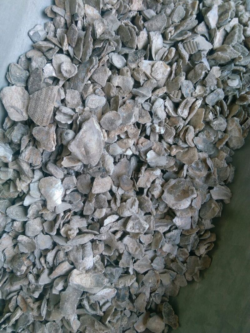 药用牡蛎万年牡蛎河北散装干货各种矿石类中药材