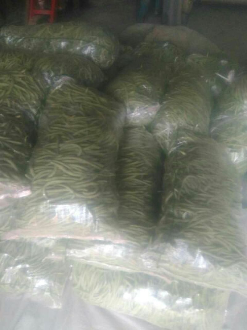 豆角架豆王豆角