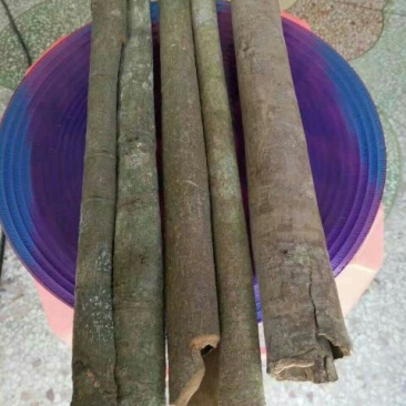 桂皮散装中通