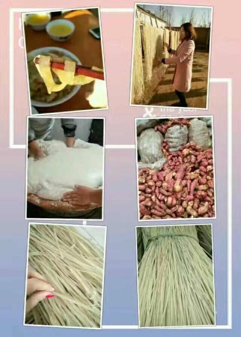 生薯粉散装