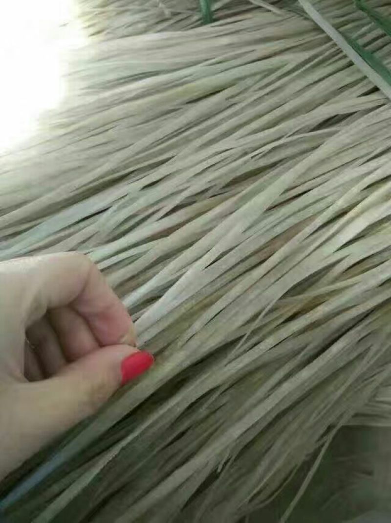 生薯粉散装