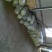 白皮冬瓜20斤以上地冬瓜