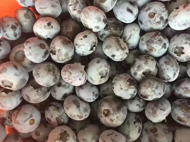 蓝丰蓝莓鲜果6~8mm以上