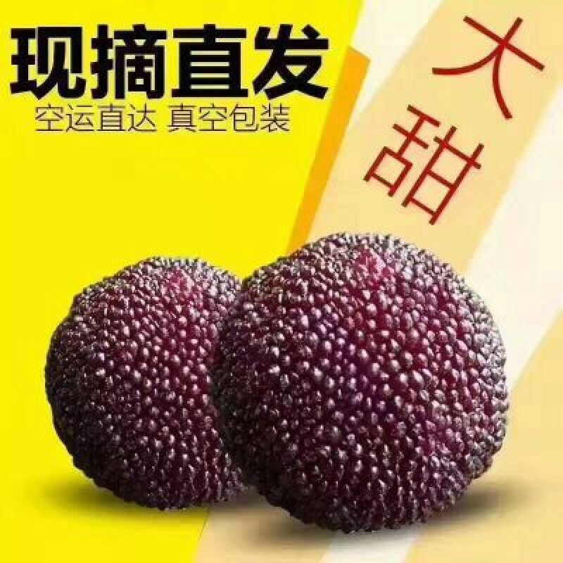 杨梅3~4cm
