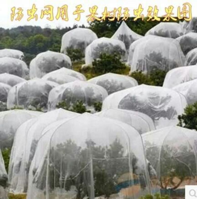 防虫网80目