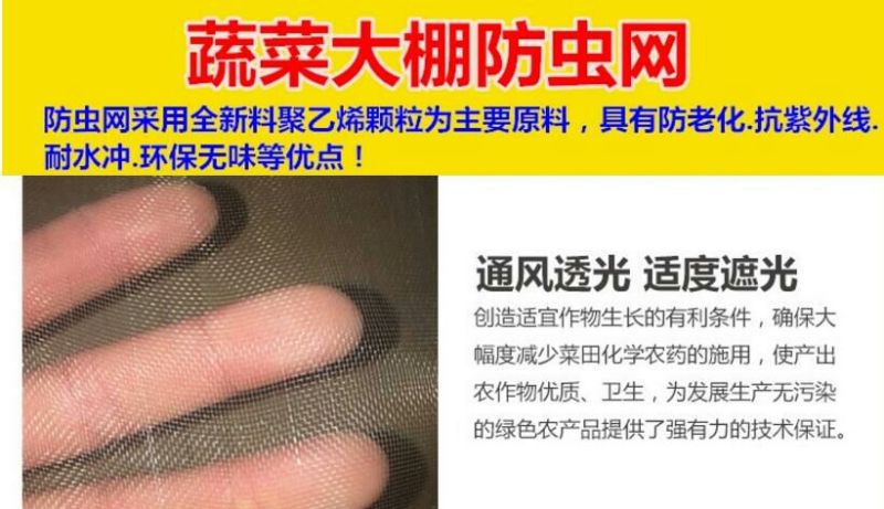 防虫网80目