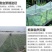 防虫网80目
