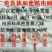 防虫网80目