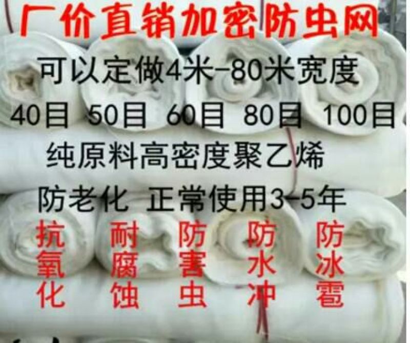 防虫网80目
