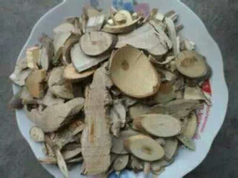 梧桐根河北干货人工种植量大从优常年经营各种中药材