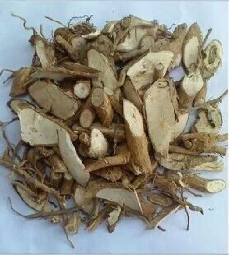 梧桐根河北干货人工种植量大从优常年经营各种中药材