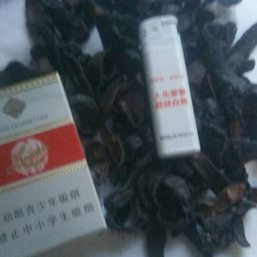 宽体金线蛭药用