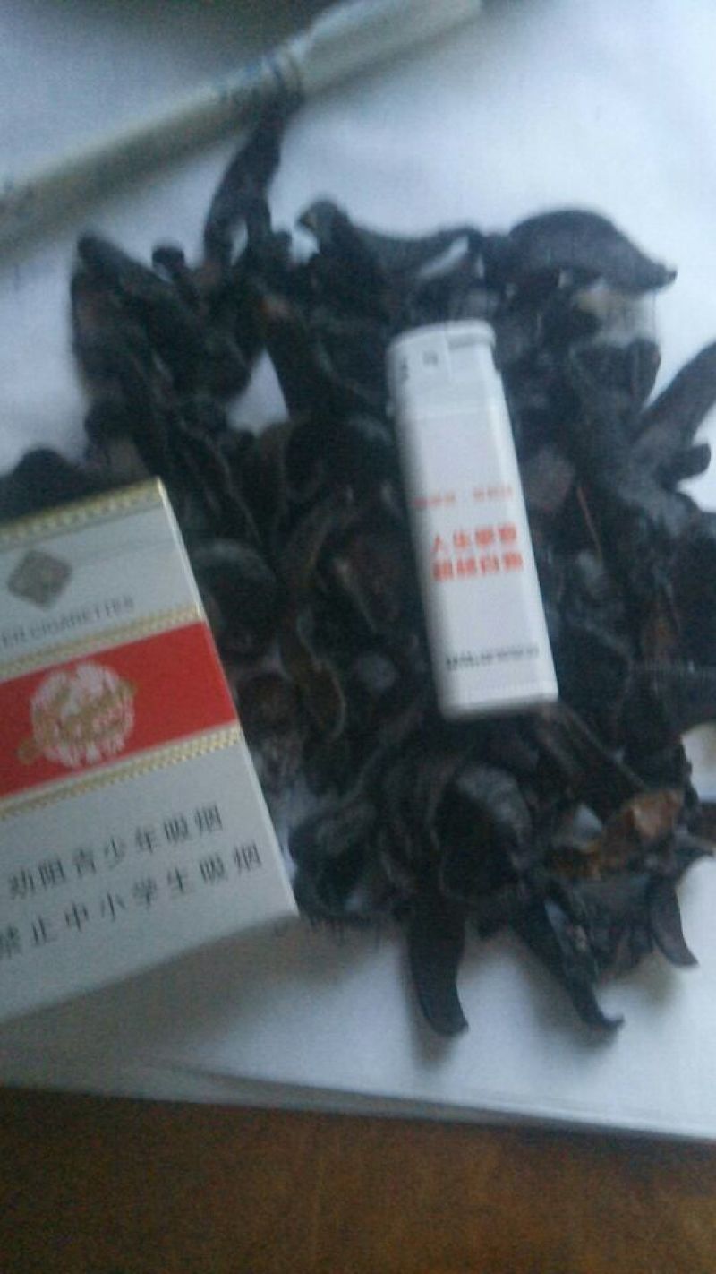宽体金线蛭药用