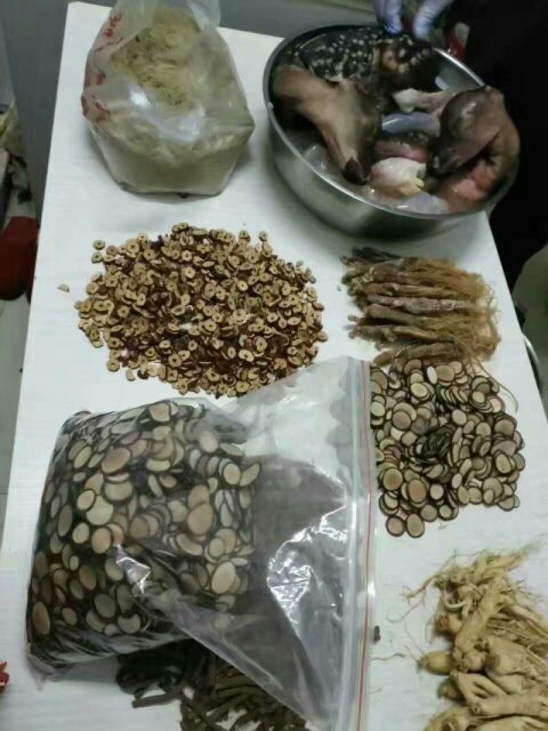 东北养鹿人纯正鹿胎膏滋补膏女用关爱姨妈月月舒