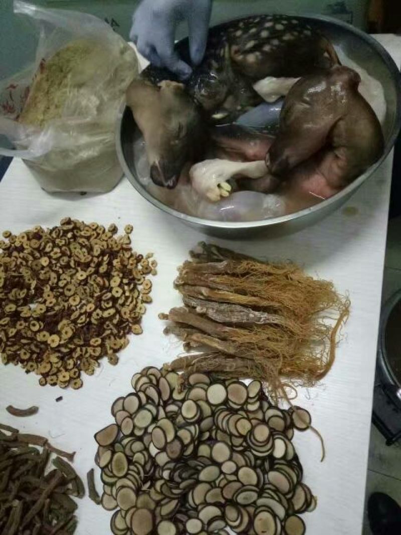 东北养鹿人纯正鹿胎膏滋补膏女用关爱姨妈月月舒