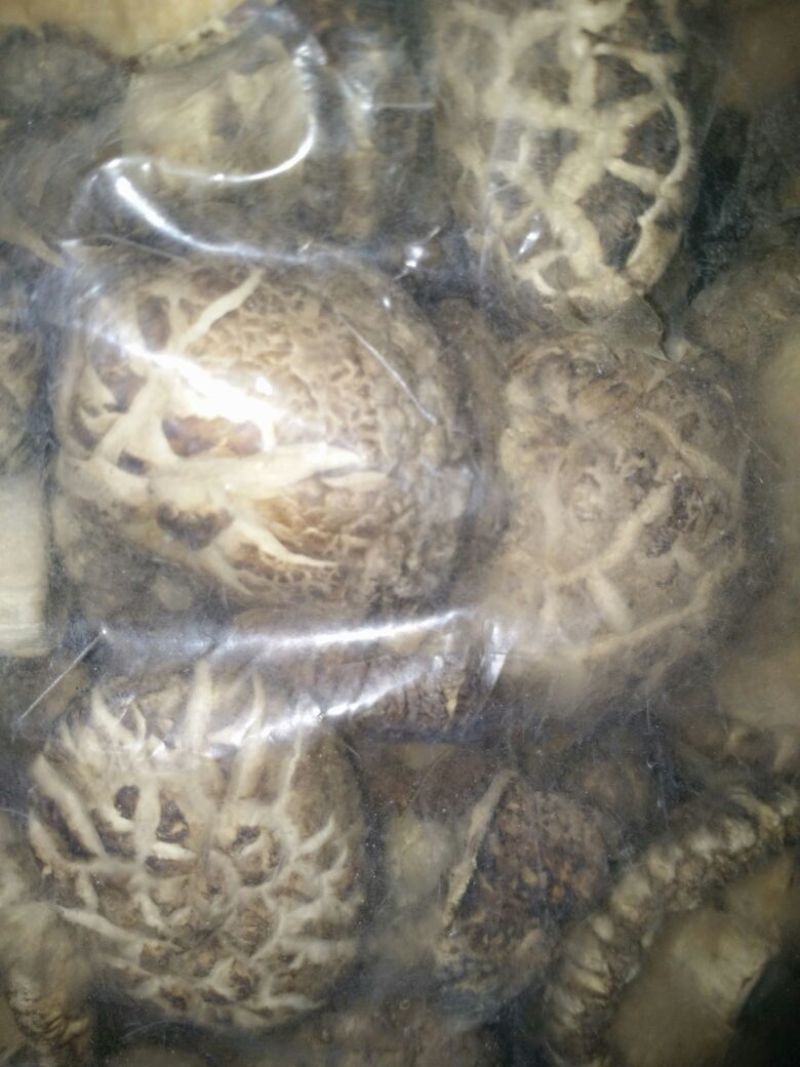八百里伏牛山农家种植，花菇，面菇，干菇，鲜菇品种齐全。