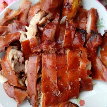 巴马香猪母