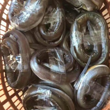 鱼干日晒鱼干