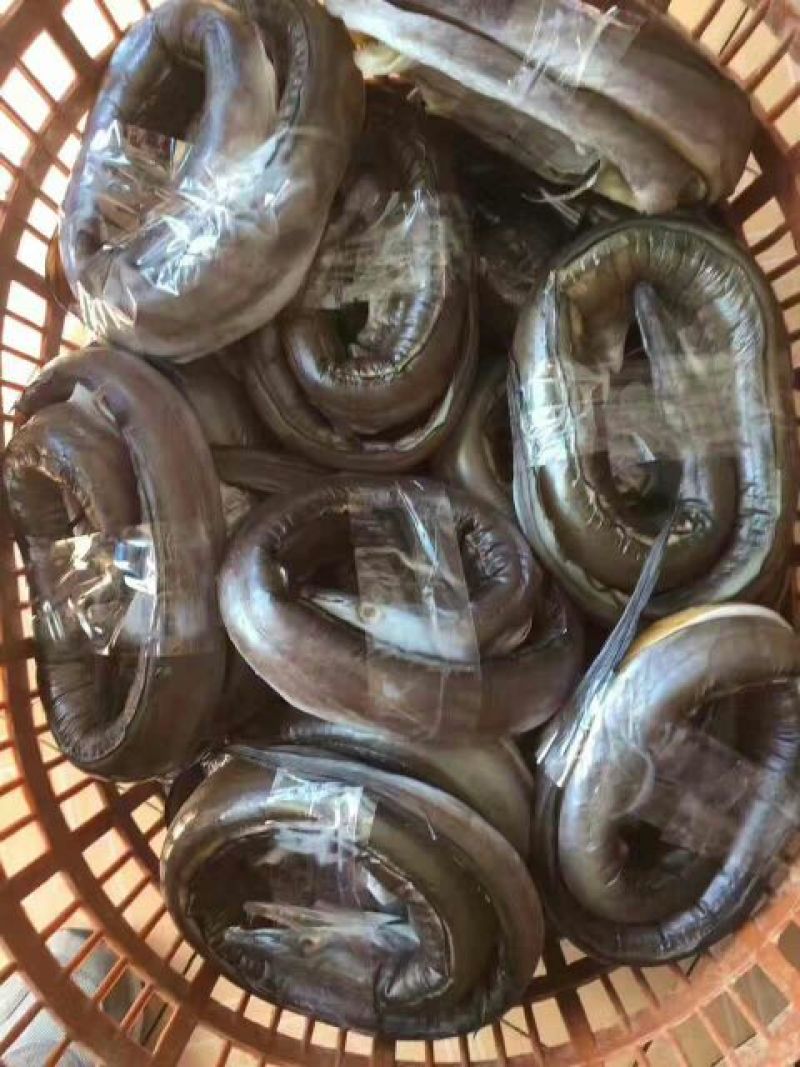 鱼干日晒鱼干