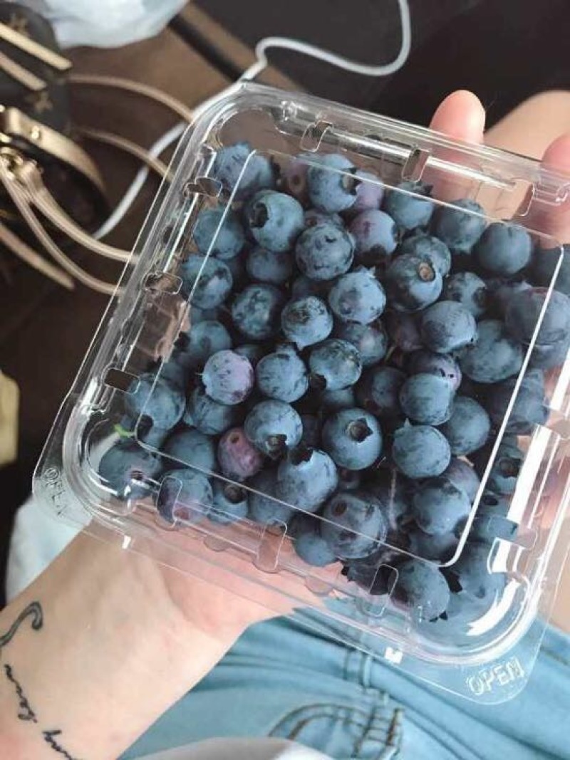 蓝莓
