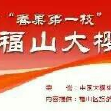 黄蜜樱桃20mm以上