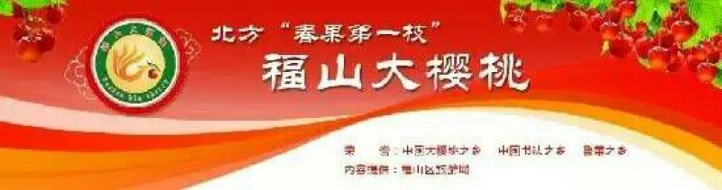 黄蜜樱桃20mm以上