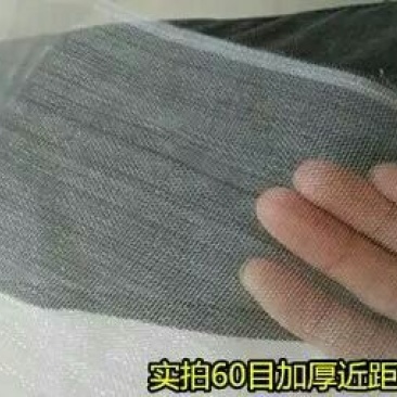 防虫网60目
