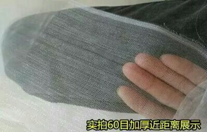 防虫网60目