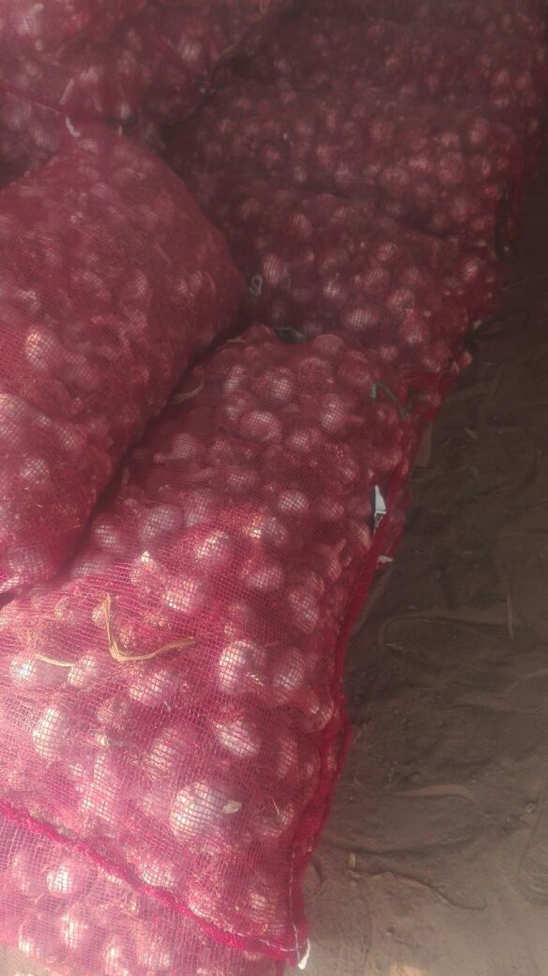 杂交大蒜混级统货干蒜