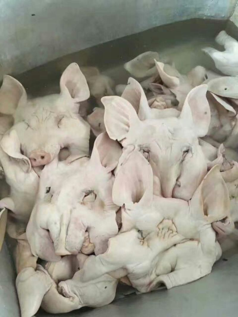 猪头肉包装