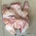 猪头肉包装