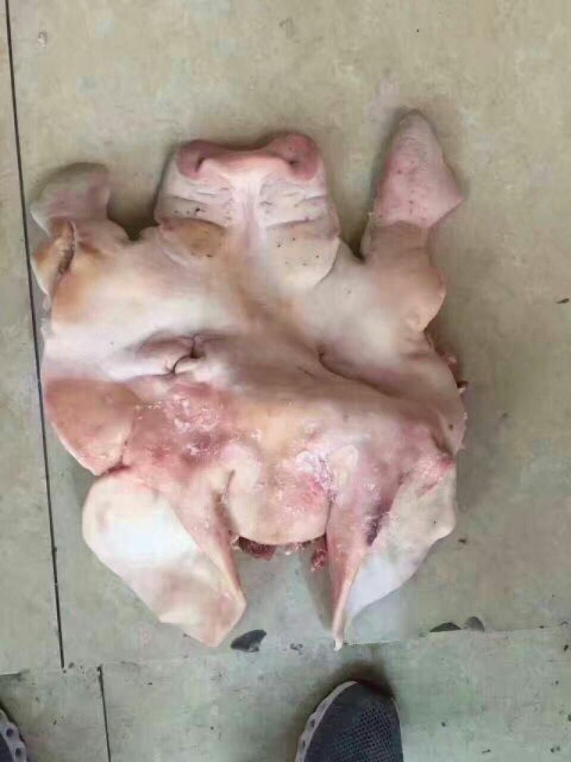 猪头肉包装